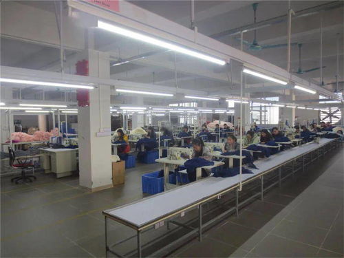 两会代表谈纺织服装现状及发展建议